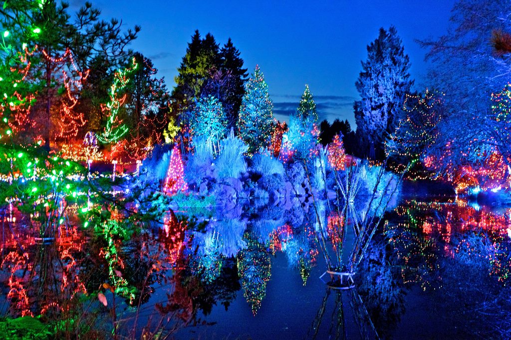Vancouver-lookout-christmas-light-displays