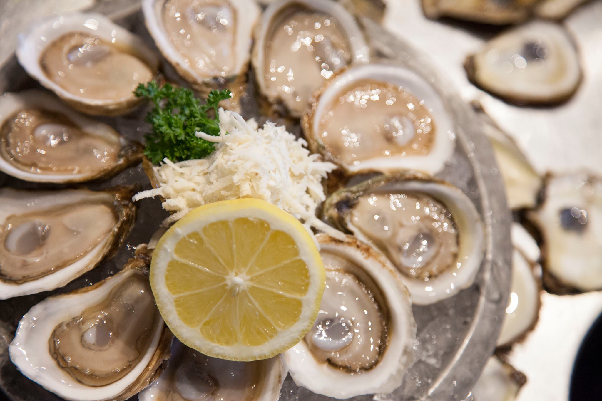 Chewies-fresh-raw-oysters