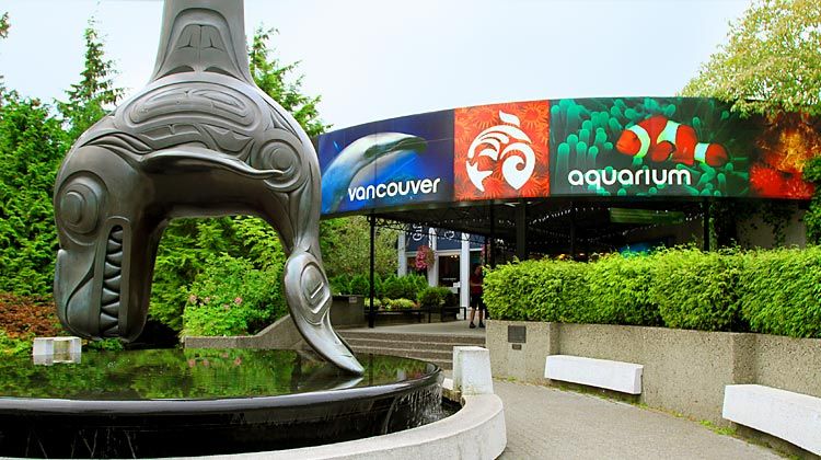 Vancouver_aquarium