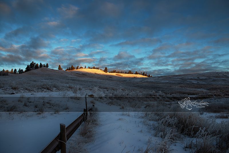 Sunrise-on-frozen-hilltop