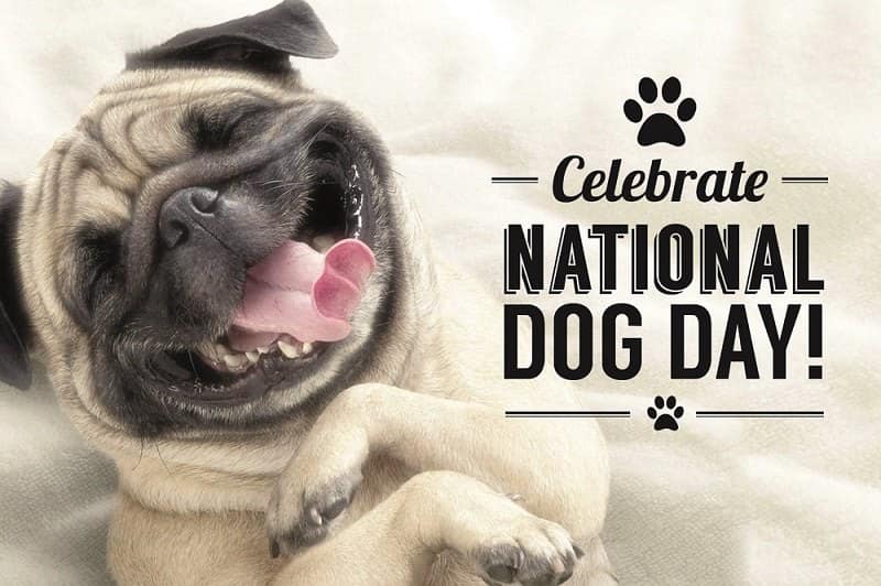 National-dog-day