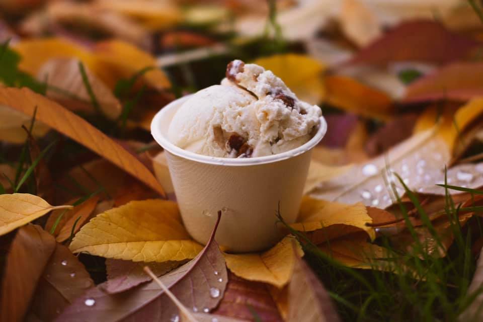 Maple-pecan-ice-cream
