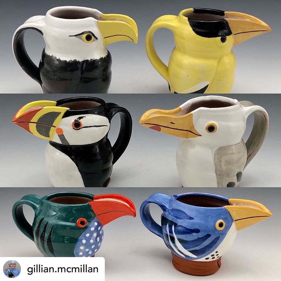 Gillian-mcmillan-jugbirds